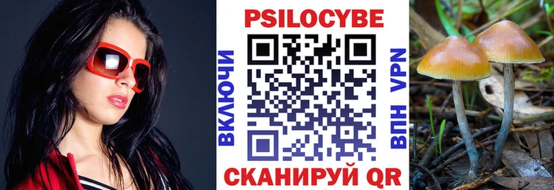 Галлюциногенные грибы мицелий  Кола 